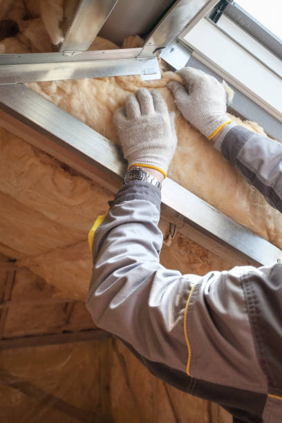 Types of Insulation We Offer in Homestead Meadows North, TX